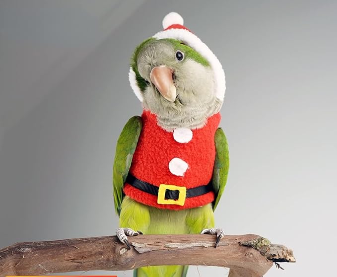 Bird Clothes Birds Flight Suit, Christmas Hoodie for Parrots Cockatiel Conure Christmas Party Cosplay Photo Prop Bird Shirt Small Animals Apparel (Without Diaper,Sun Conure)