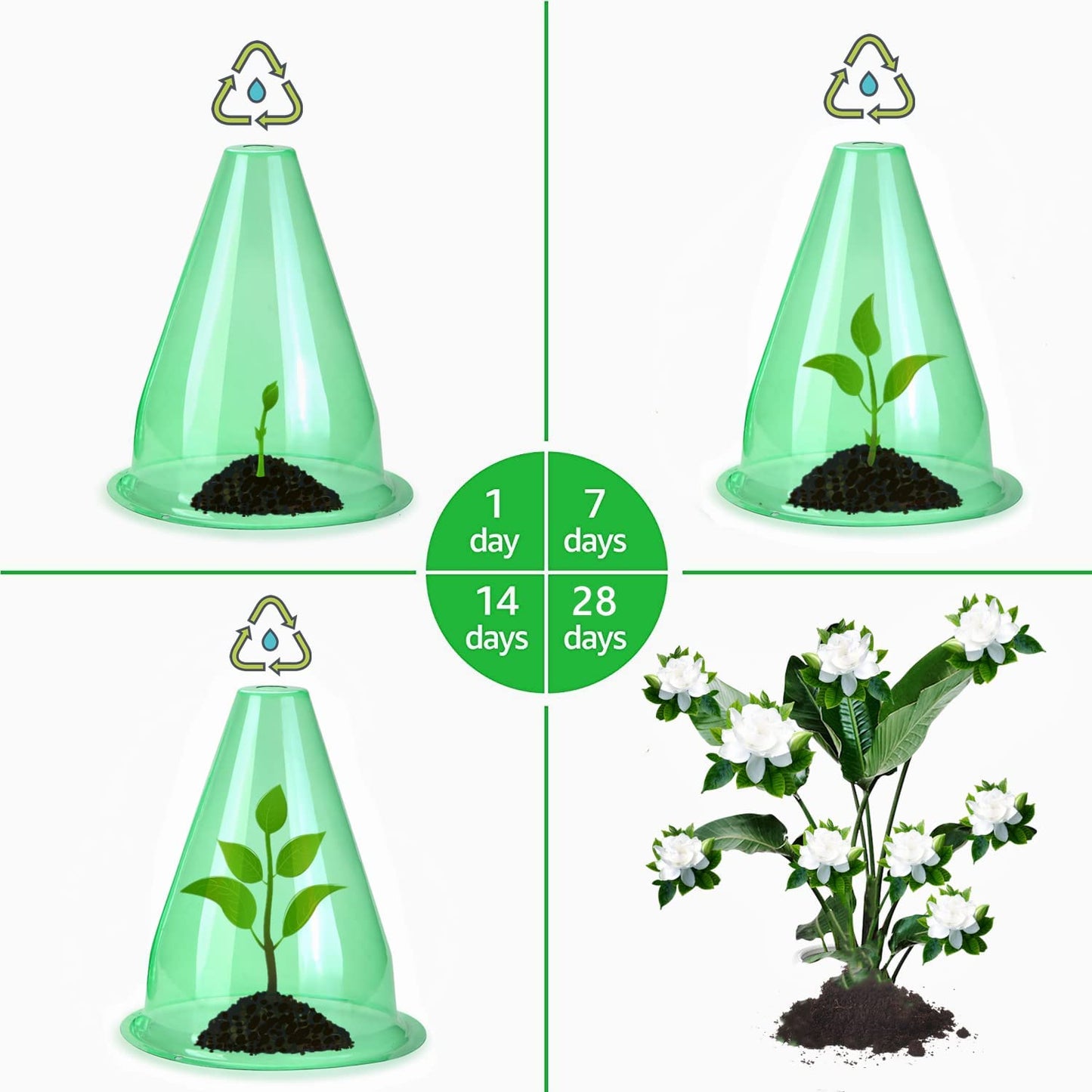 【12 Pieces】 Garden Cloches for Plants, Multifunctional Plant Covers Plant Protectors Transparent Bell Jar Cloches to Protect Plants from Birds, Slugs, Frost, Freeze Weather, 7.8" D x 9.4" H, Green