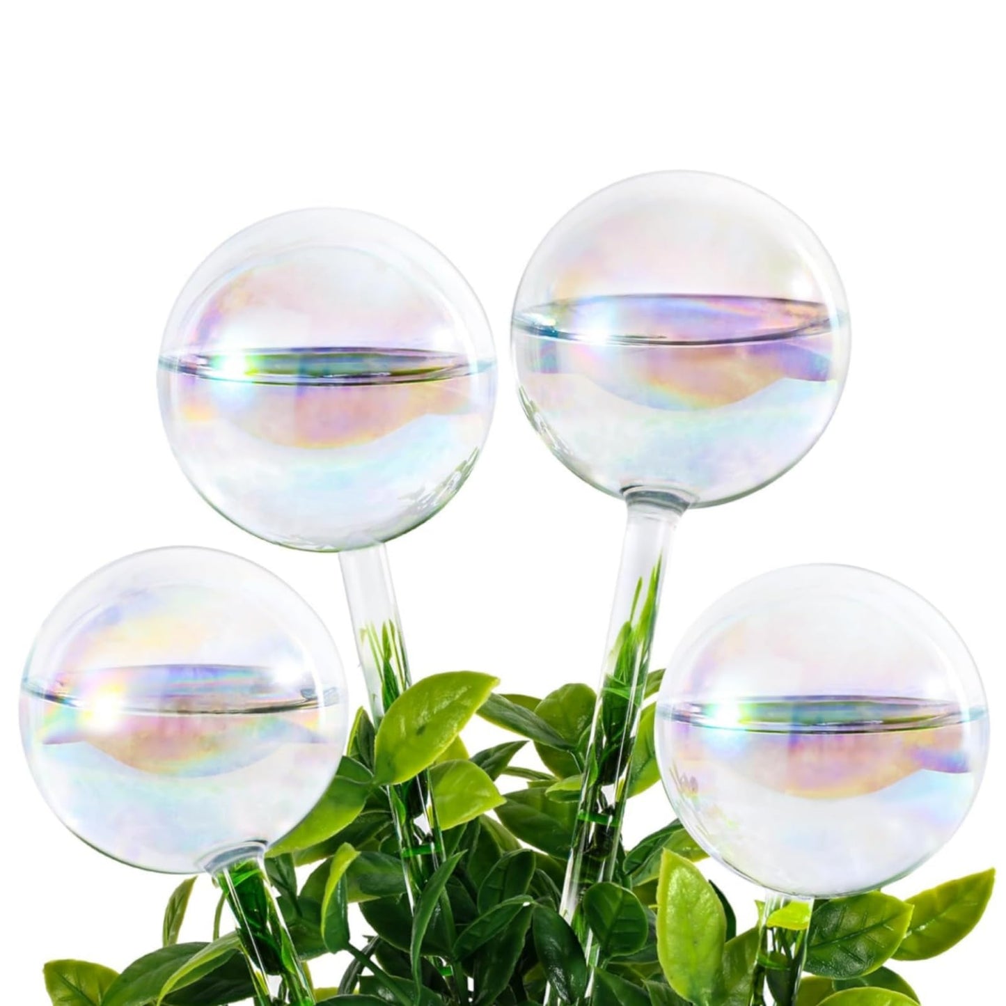 Farady Plant Watering Globes, Iridescent Rainbow Glass Water Bulbs Self Watering Spikes Planter Insert Automatic Plant Watering Device for Indoor and Outdoor Plants (4Pcs, Ball Shaped)