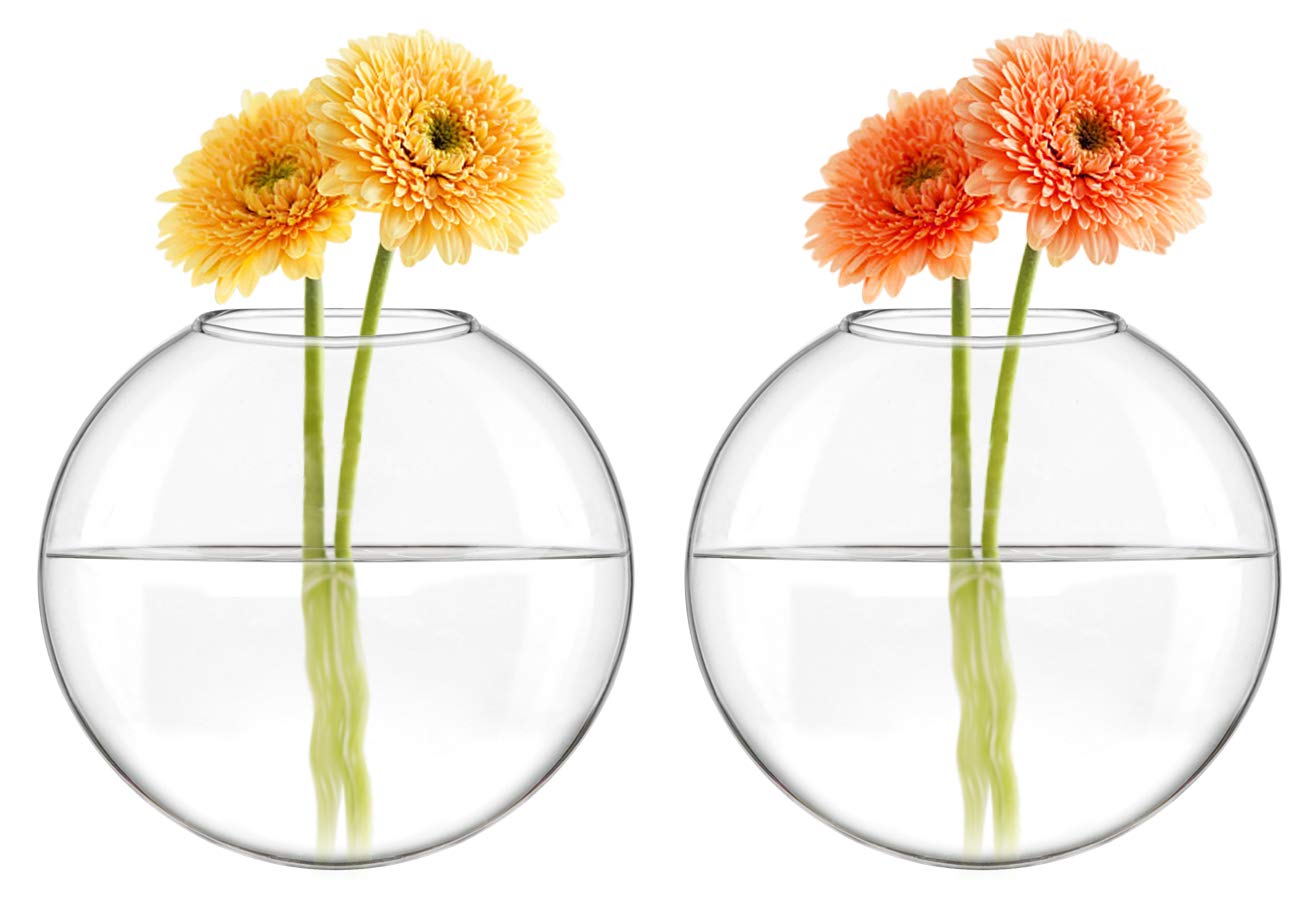 Mkono Wall Hanging Glass Terrariums Planter Oblate Flower Vase for Hydroponics Plants, Bathroom, Home Office Living Room Decor, Set of 2（Plants not Included）