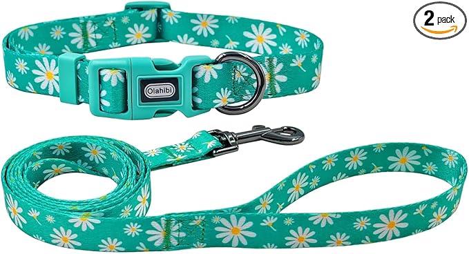 Dog Collar Leash Set, Floral Pattern, Polyester Material, Adjustable Collar and 5ft Matching Leash, for Medium Dogs.(M, Green Daisy)