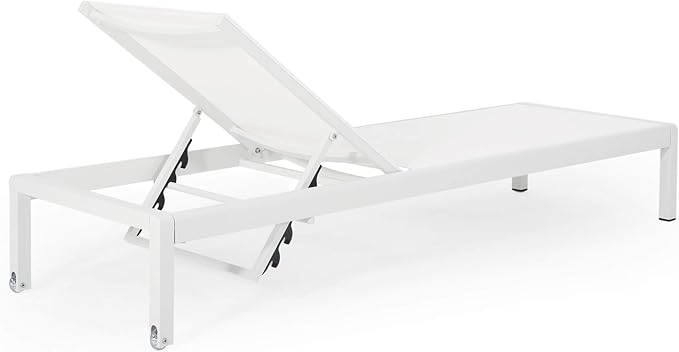 Christopher Knight Home Cynthia Outdoor Chaise Lounge