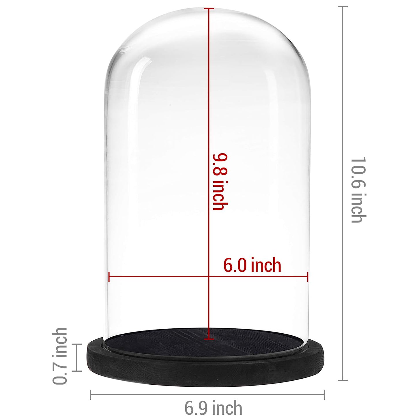 MyGift The Bell Jar Glass Cloche with Black Wood Base, 10 Inch Tall Clear Decorative Glass Dome Display for Plants, Curios, Keepsakes, Heirlooms