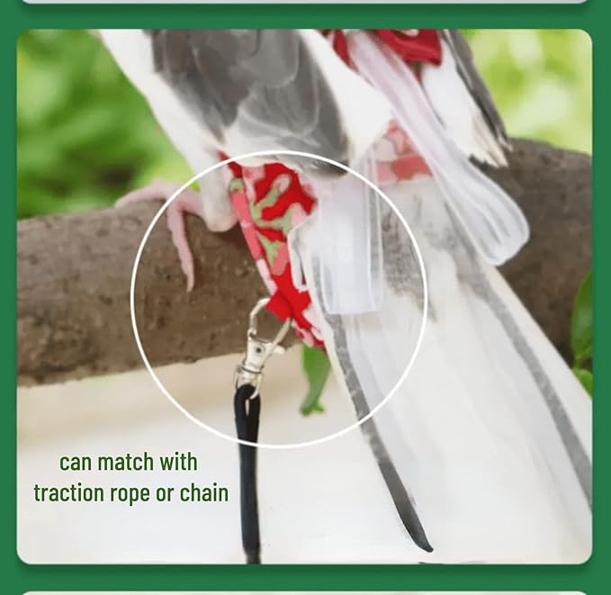 Bird Flight Suits Diapers, Parrot Flight Suits Diapers for Monk Parakeets, Cockatiels Flight Suits, Parrot Clothes, Bird Training Nappy Suit Liners Clothes (M, Red-D)