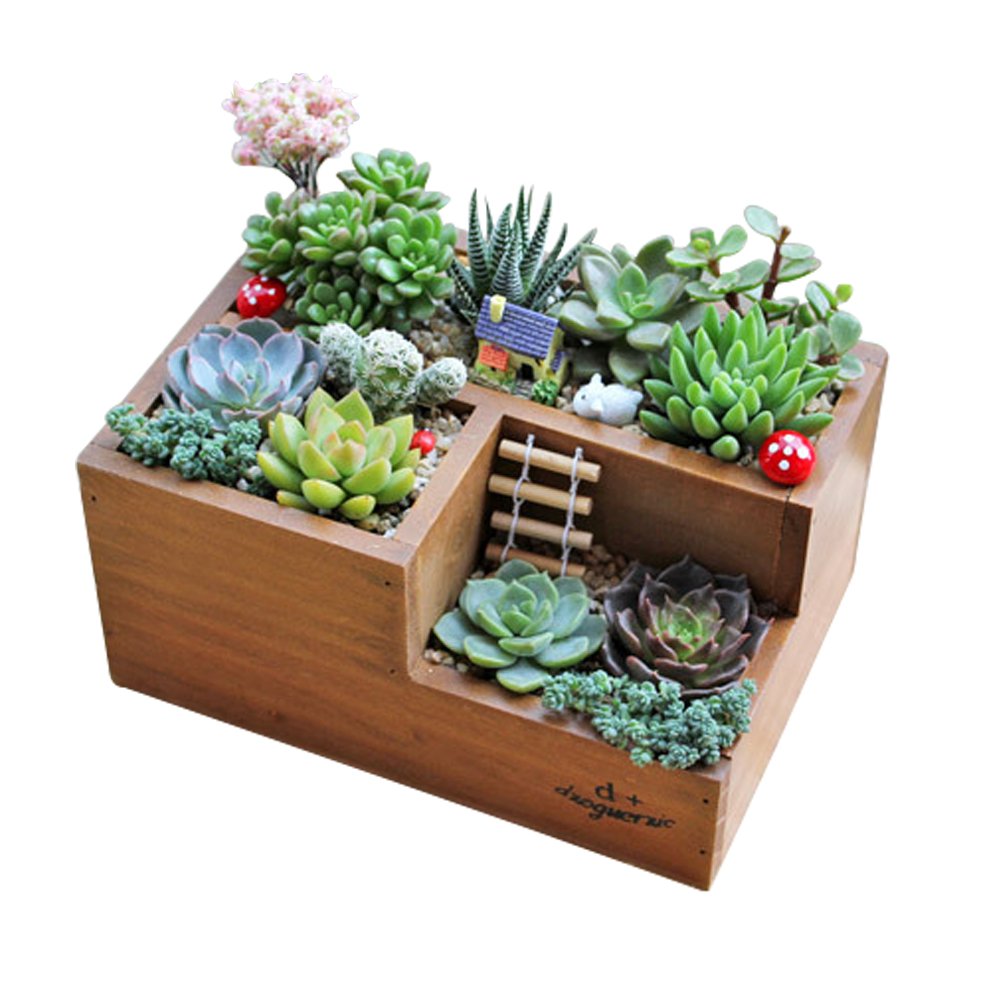 LSHCX Wooden Succulent Flower Planter Box Desk Organizer Pencil Holder