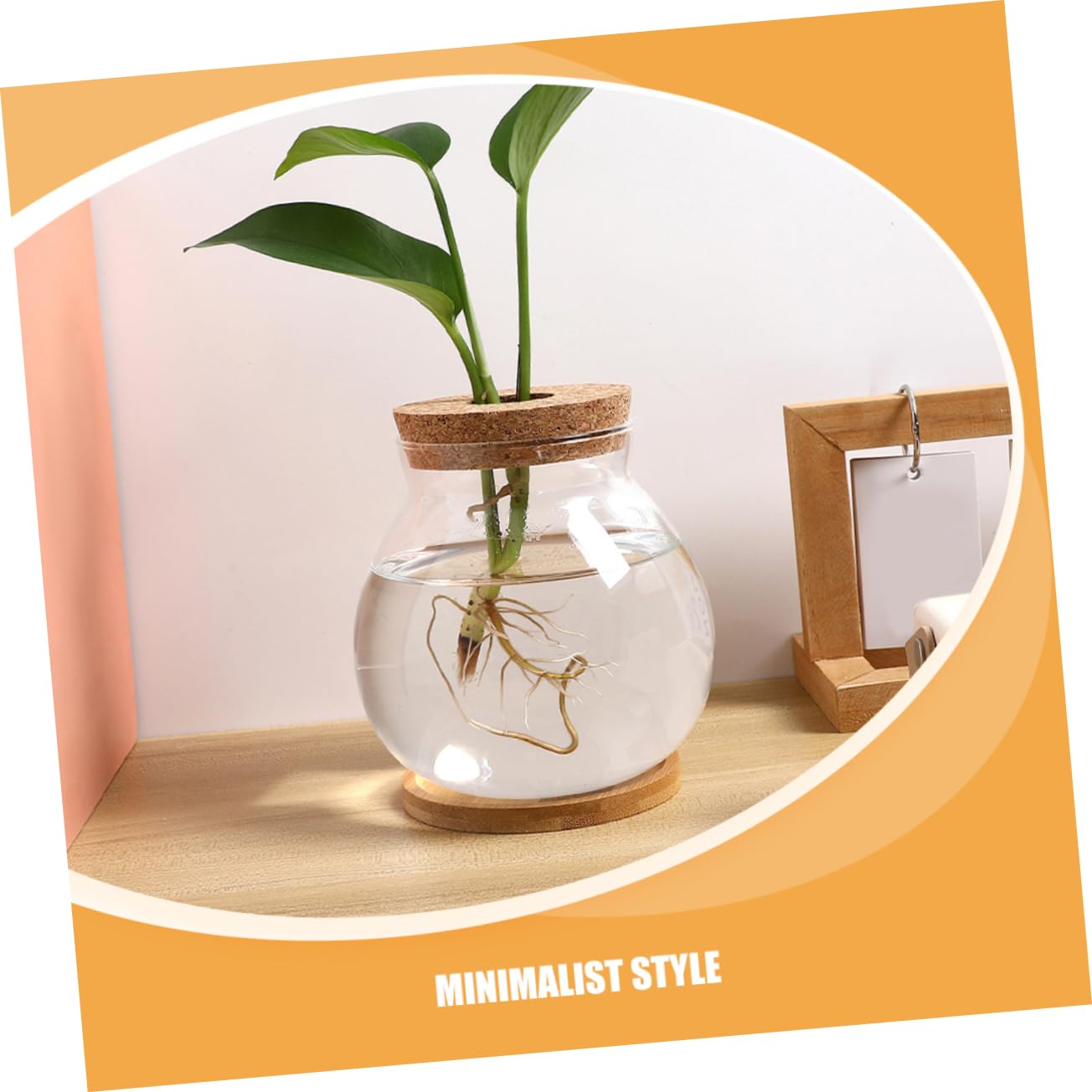 Kisangel Hydroponic Glass Vase Wooden Base for Indoor Plant Propagation Desktop Terrarium for Flower Arrangements and Root Growth Display
