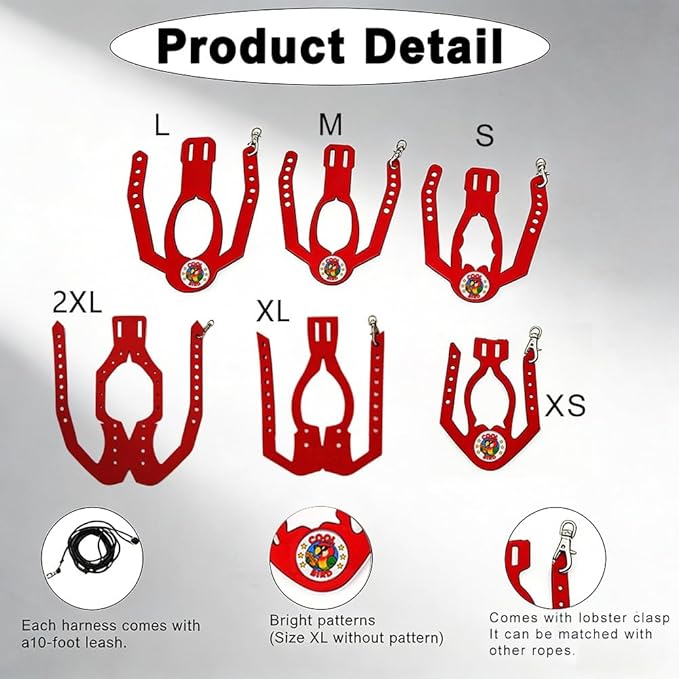Adjustable Bird Harness & Leash Set for Small Birds,FitsBudgie,Parakeets, Conures, Cockatiels,Green Cheek,Quaker Parrots(Red, L) Z6350-4
