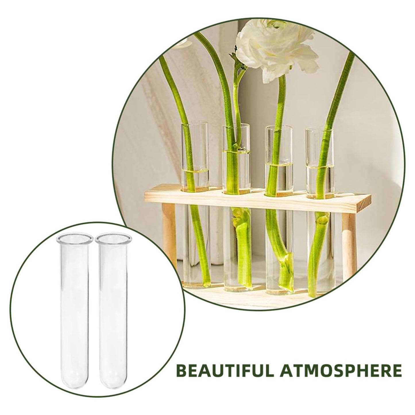 HEALEEP Glass Test Tubes for Plant Propagation 5pcs 2.5x3x15cm Hydroponic Floral Vase Glass Tubes for Small Terrarium Plants and Home Décor