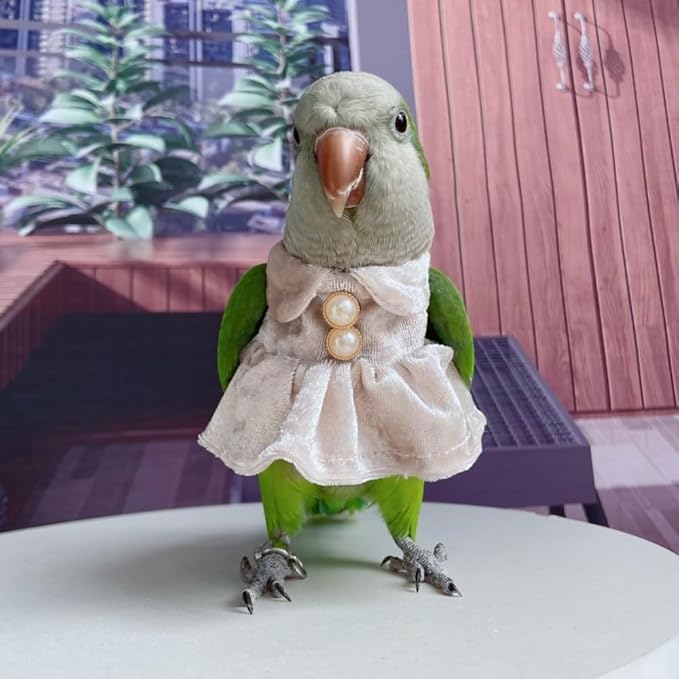 Bird Costume Bird Diaper Flight Suit Parrot Velvet Fleece Skirt Clothes Cosplay Photo Prop for Conure Lovebird Parakeet Cockatiel Macaw Small Animals Apparel (White,Large)