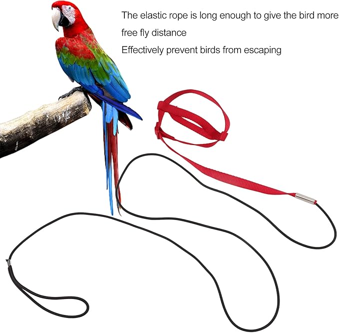 Elastic Parrot Harness Leash Bird Leash Bite Proof Harness Adjustable Parrot Flying Training Rope with Metal Hook Nylon Webbing for Cockatiels Walking (S)