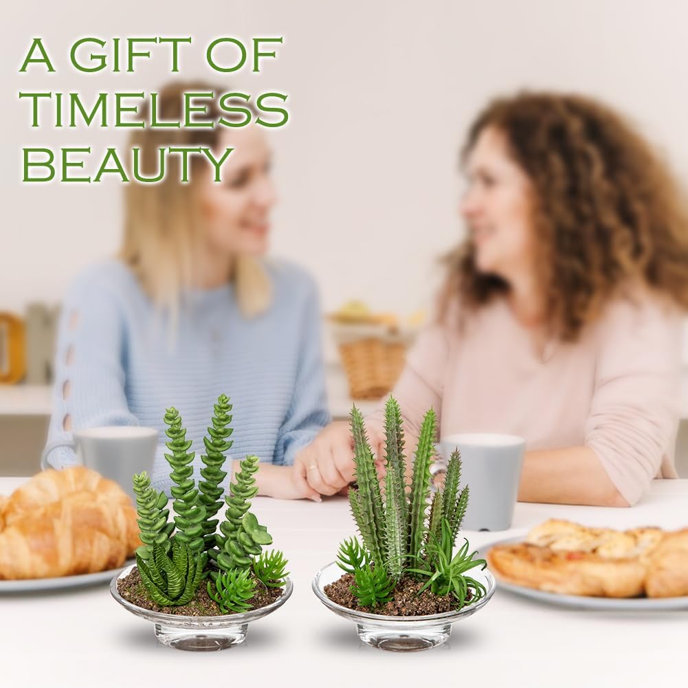 Set of 2 Succulents Plants Artificial cactus in Glass Pot with Realistic Featuring Sand Moss, Small Fake Succulents Plants Faux Plants Indoor for Home Office Desk Bathroom Shelf Living Room Decor