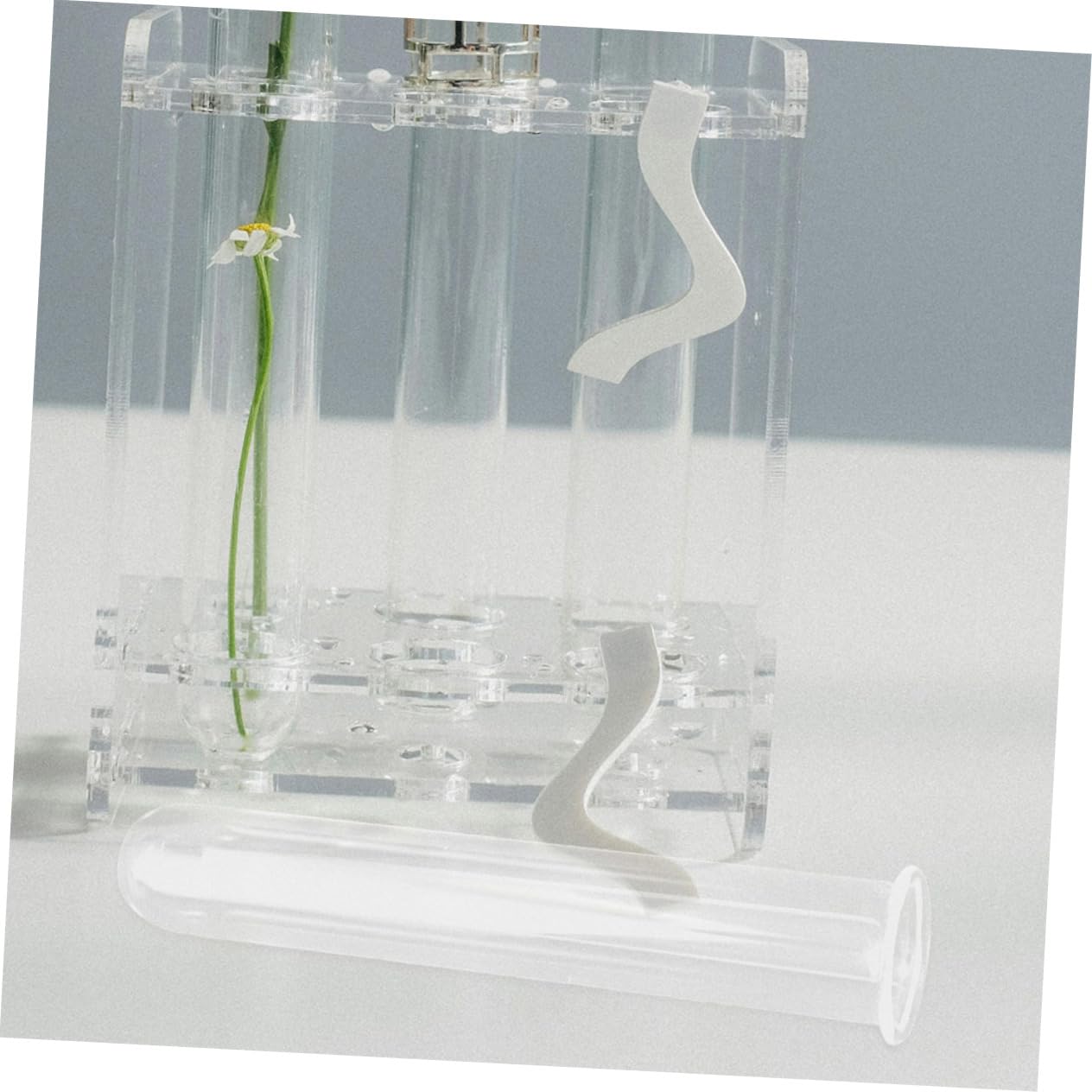 Zerodeko 5pcs Glass Propagation Tubes for Live Plants Hydroponic Test Tube Planter Transparent Glass Vases for Home Office Terrarium Cuttings Root Observation