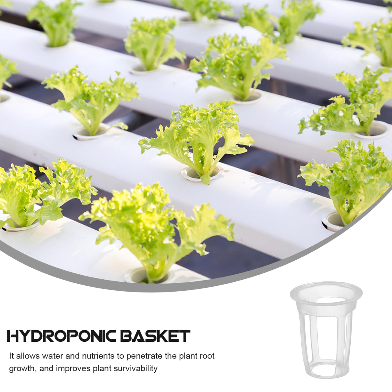 IWOWHERO 100 Pcs 1.77 Inch Slotted Net Pots Reusable Planting Cups for Hydroponic Grow Systems Small Mesh Nursery Baskets for Seedling Cultivation Home Gardening Vegetables Flowers