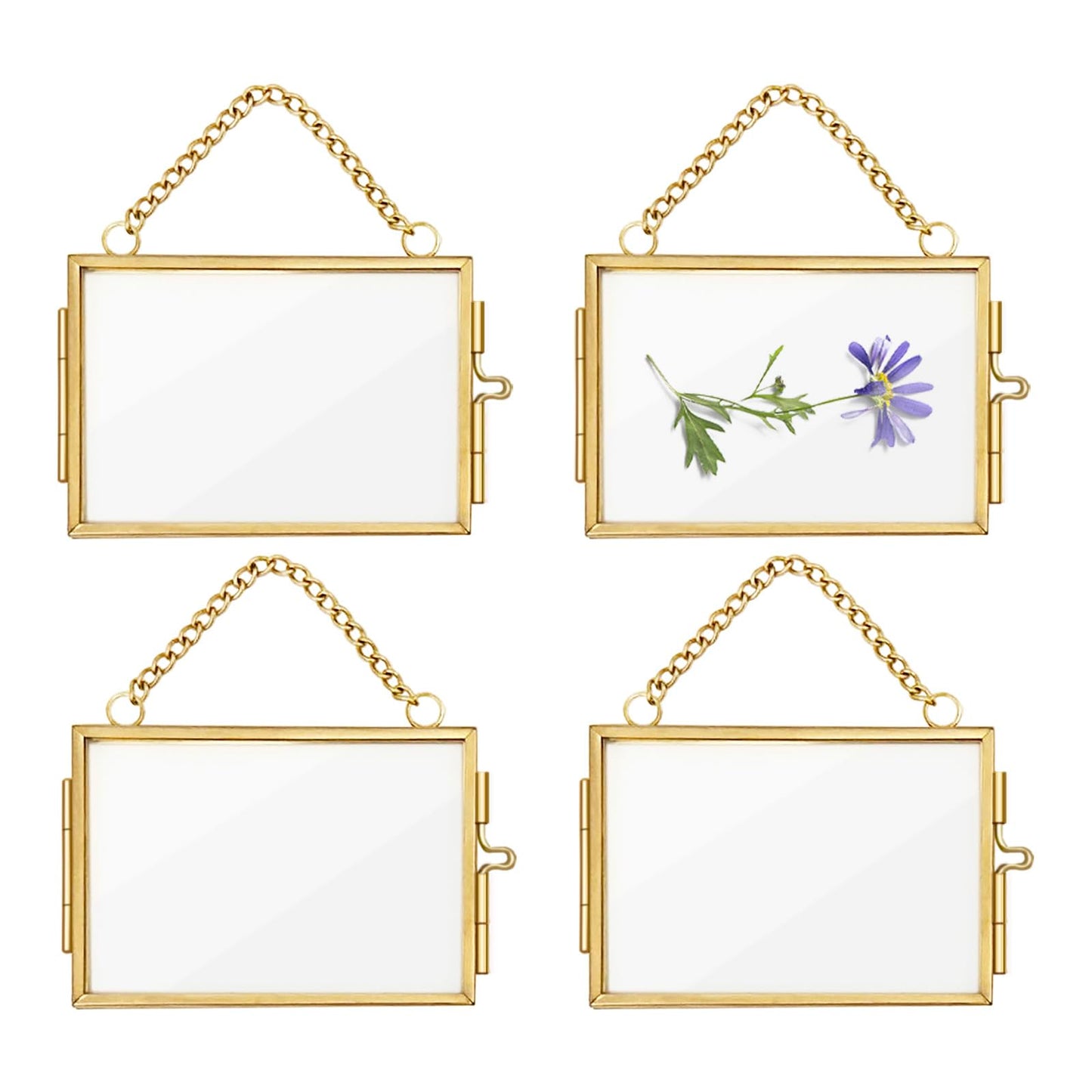 4Pcs Double Glass Frame for Pressed Flowers, 2x3 inch Picture Frame Mini Brass Wall Hanging Photo Floating Frame with Chain for Plant Specimen Artwork Display Home Wall Decor (Gold, Horizontal)