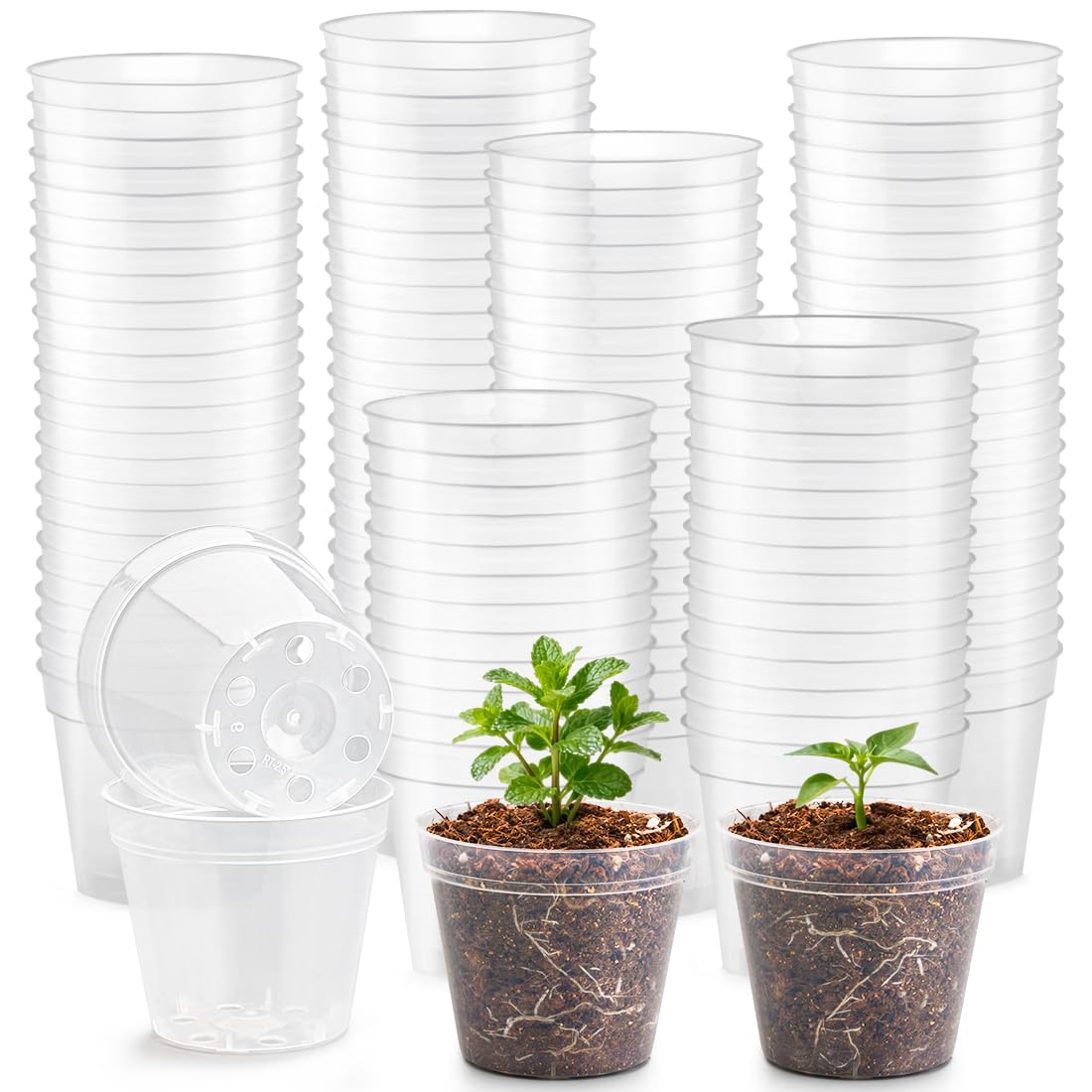 BTPLASTIK 200 Pack 2.5 Inch Clear Nursery Pots with Drainage Hole, Transparent Seed Starter Pots, Sturdy Plastic Plant Pot for Planting Seedlings Vegetables Herbs, Gardening Gifts