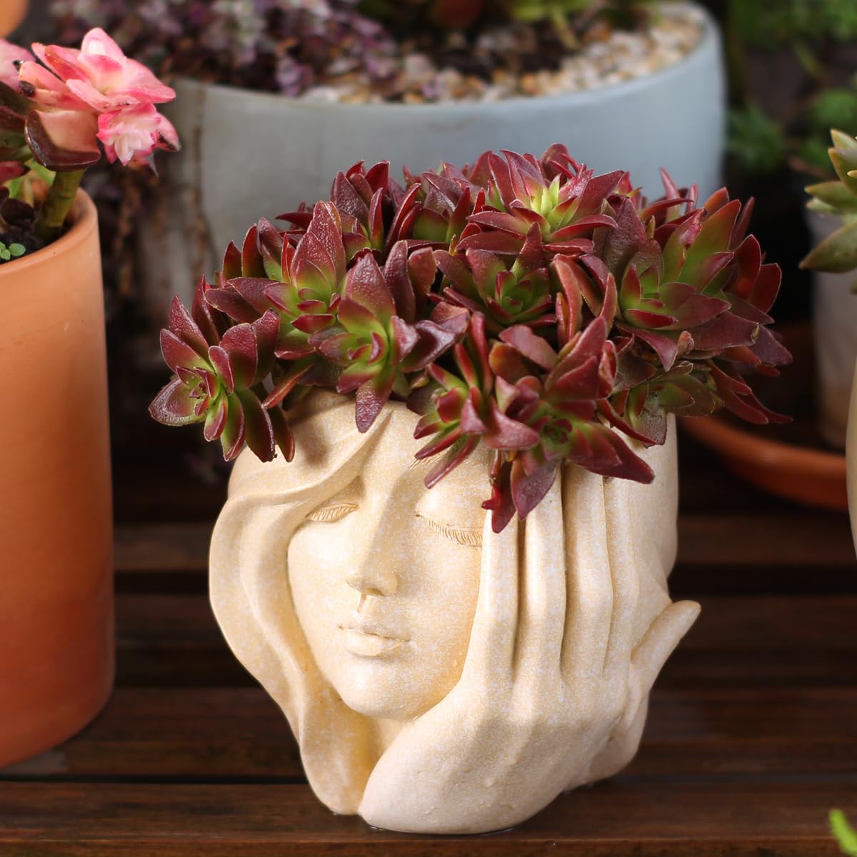 YOYLMAL Hand Holding Face Planter Pot, 5.1” Resin Women's Head Succulent Planter for Indoor Outdoor Plants, Unique Flower Pot with Drainage Hole, Gifts for Women Mom