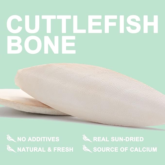 Natural Cuttlebone for Birds Parakeets Canaries Cockatiels Small Conures Mynahs Toucans African Greys All Parrots Snails Totoise, with Holder for Bird Cage (5.5-6 inch,2PCS)