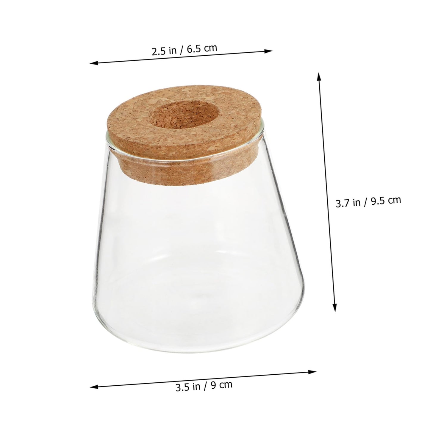 OUNONA 2Pcs Desktop Glass Hydroponic Chic Transparent Vases for Home Decor Stylish Terrarium for Indoor Plants for Office Garden Aesthetics