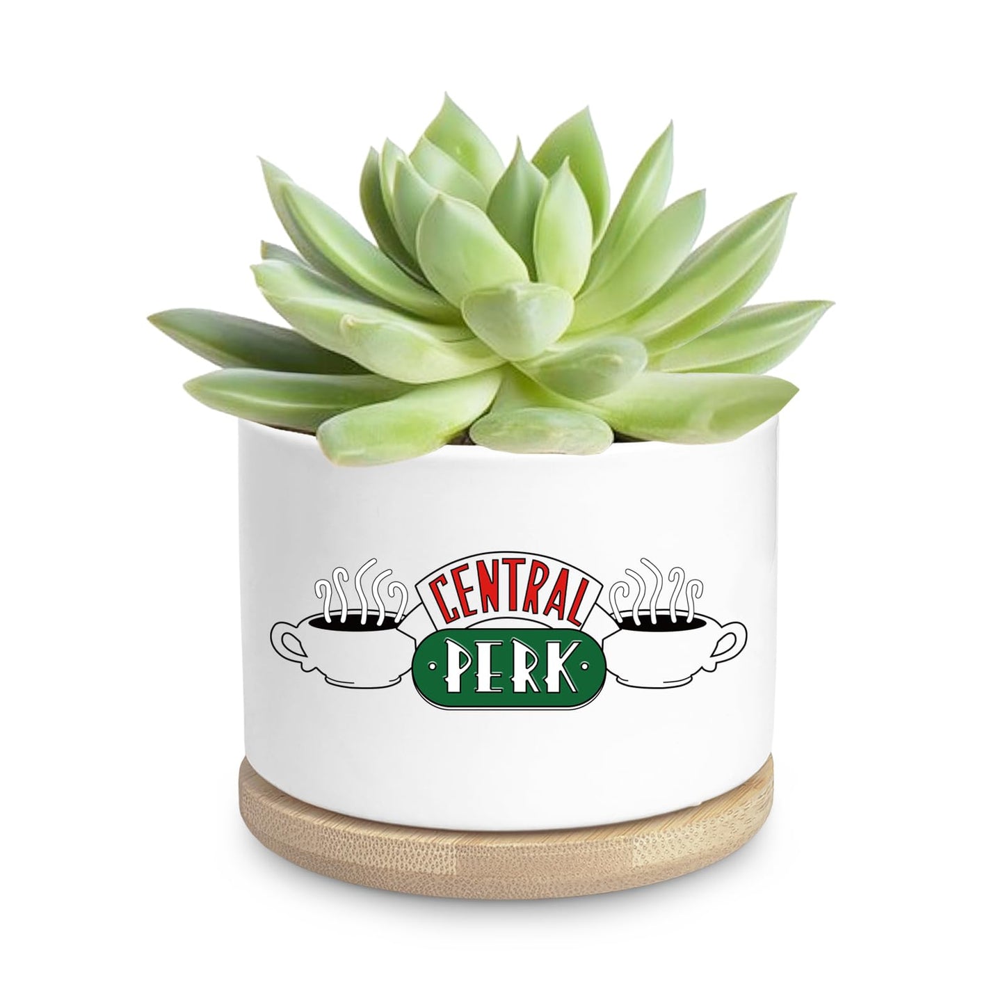 Ywkuiev Succulent Planter, Flower Cactus Plant Pot, Friends Merchandise, Funny Friendship Decor Themed Gifts for Men Women Best Friends Bestie Sister Housewarming Gift (Plants Not Included)