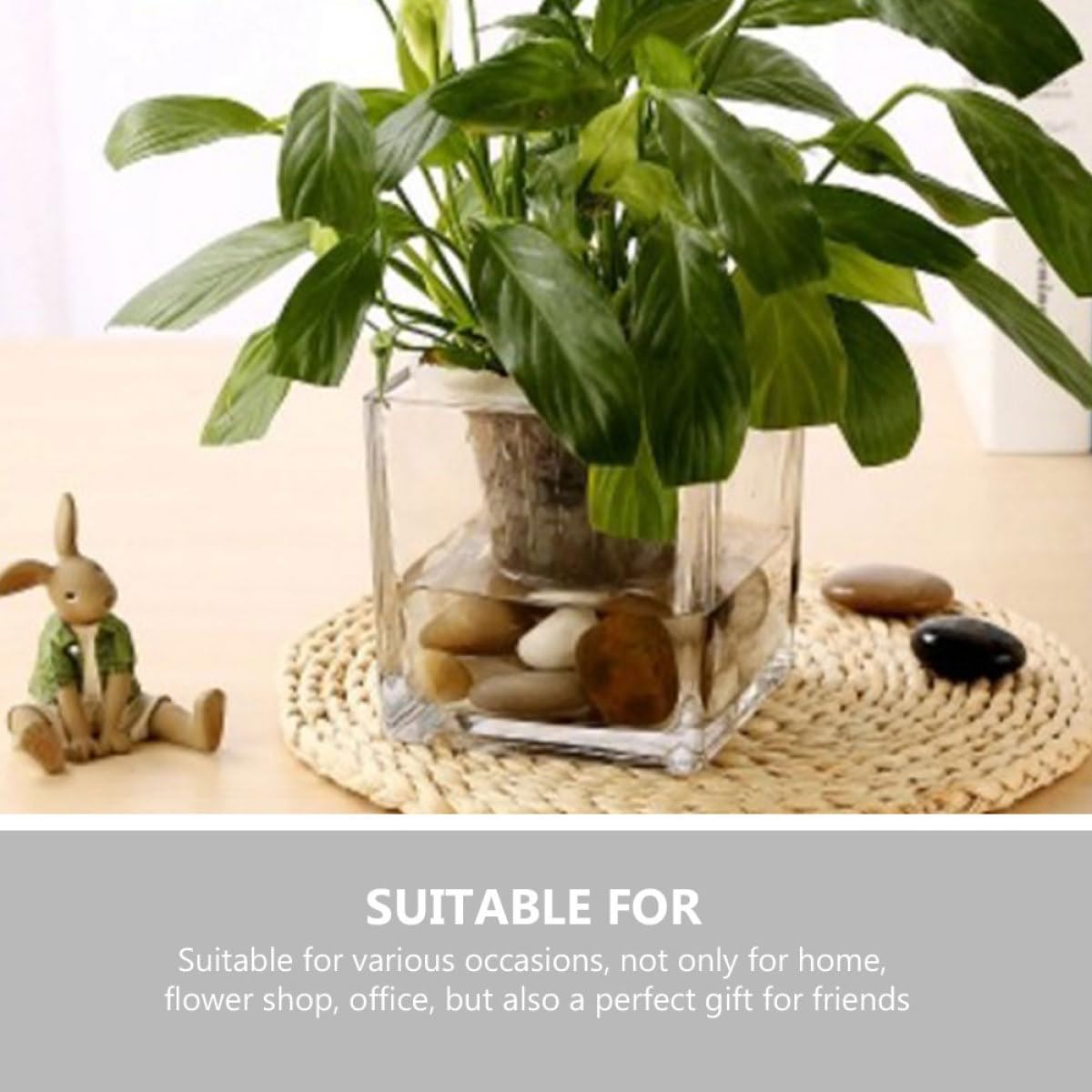SECFOU 4.5 Inch Cube Glass Vase for Succulent Plants and Greenery, Small Terrarium Planter Pot for Hydroponic Use, Decorative Tabletop Flower Container for Home and Office