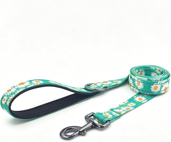 Dog Collar Leash Set, Floral Pattern, with Safety Reflective Strips, 5 ft Matching Leash, Neoprene Padded Handle, Adjustable 4 Sizes for Small Medium Large Dogs.(S, Green Daisy)