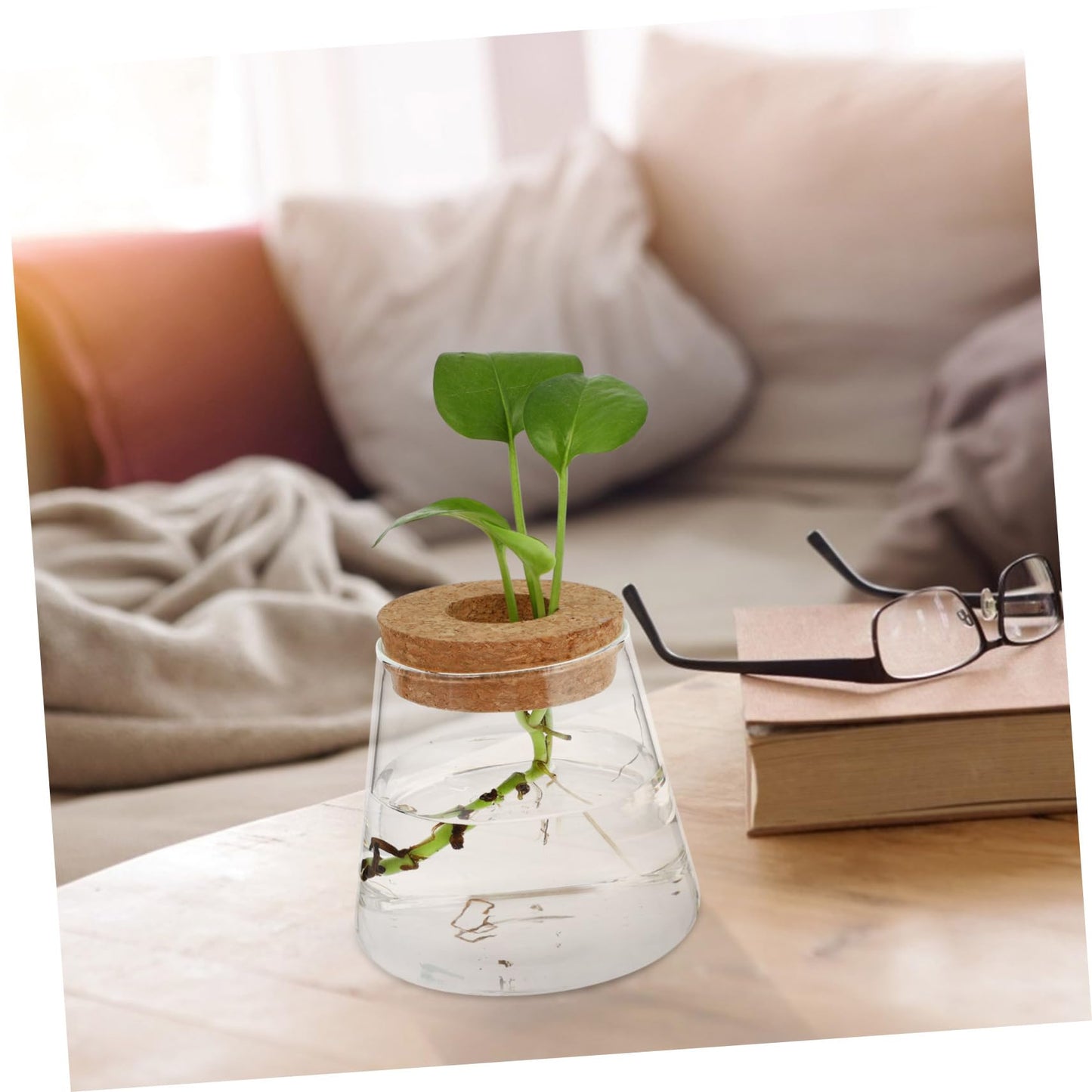 INOOMP 2Pcs Hydroponics Glass Vase for Plants Clear Smooth Terrarium Planter Home Decoration for Office and Events