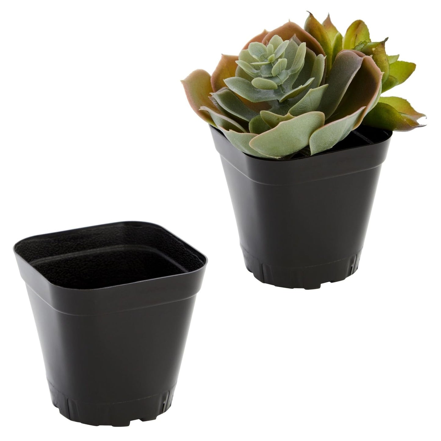 Juvale Square Nursery Pots - Seedling Planters with Drainage Holes - Versatile Pots for Plants & Succulents - Space-Saving Stackable Planters - 2.6 in, Pack of 150, Black