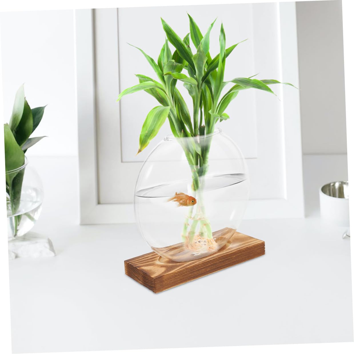 JUMPLAWN 2pcs Hydroponic Glass Vases with Wooden Bases for Desktop Plant Propagation Plant Terrariums Suitable for Home Office Balcony Decorative Glass Containers for Indoor Water