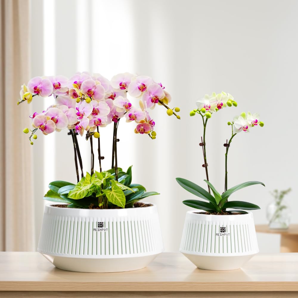 Meshpot 8 inch Orchid Pots with Holes for Repotting,Set of 1,Decorative African Violet Pots with Air-Pruning and Good Air Circulation,Plastic White Orchid Planter with Saucers