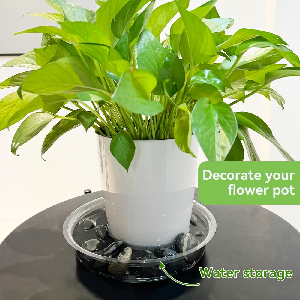 FufuHalo Clear Plant Saucers 50 Pack 8 Inch Plastic Plant Saucer, Durable Plant Pot Saucers Plant Drip Trays Used for Indoor and Outdoor Flower Pot
