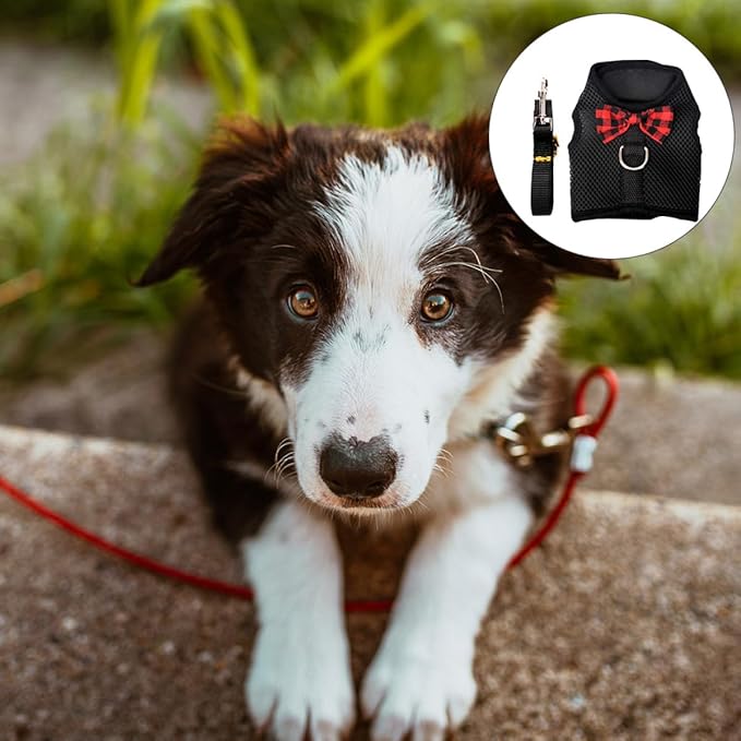 Veemoon Small Pet Mesh Vest Harness with Breathable Chest Strap, Dark Color M Size 30-34cm for Rabbits, Guinea Pigs, and Squirrels—Comfortable No-Pull Pet Harness Set for Small Animals