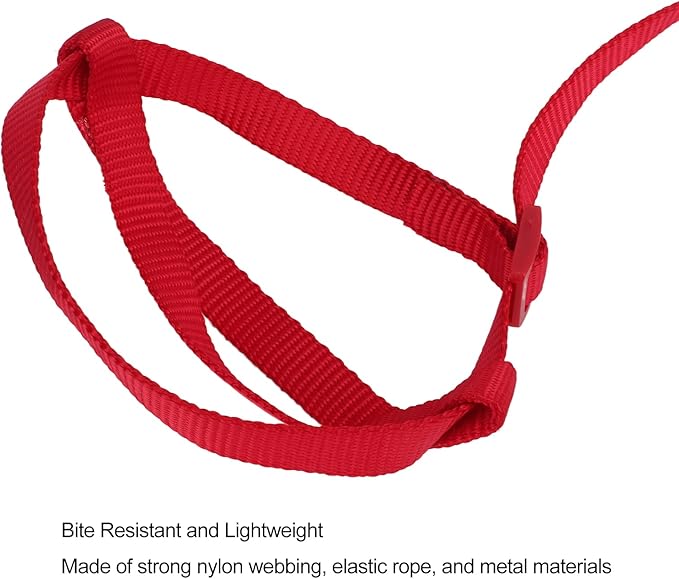Elastic Parrot Harness Leash Bird Leash Bite Proof Harness Adjustable Parrot Flying Training Rope with Metal Hook Nylon Webbing for Cockatiels Walking (S)
