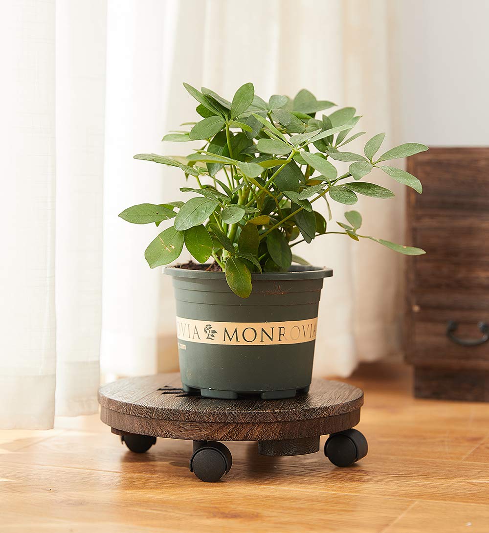 SINOBEST Wood Plant Caddy, Heavy Duty Rolling Planter Dolly With Rotating Casters, Movable Flower Pot Stand, Round Plant Stand With Lockable Wheels, Heavy Objects Hauling (12 Inch)