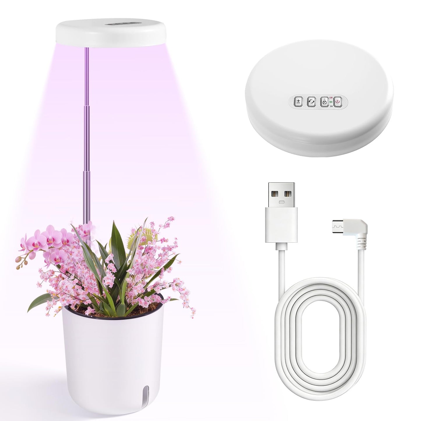 Raygrov Self-Watering Planter with Grow Light, Smart Indoor Pot for Venus Fly Trap, Carnivorous Plants, African Violet, Cat Grass, Catnip & Herbs, 2-in-1 Wall + Desktop, USB 5W Full Spectrum LED