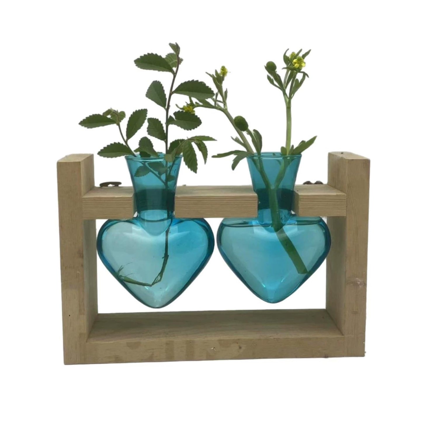 Luocute Heart Shaped Glass Vase, Plant Terrarium Propagation Station with Wooden Stand for Home Office Decor Hydroponics Garden
