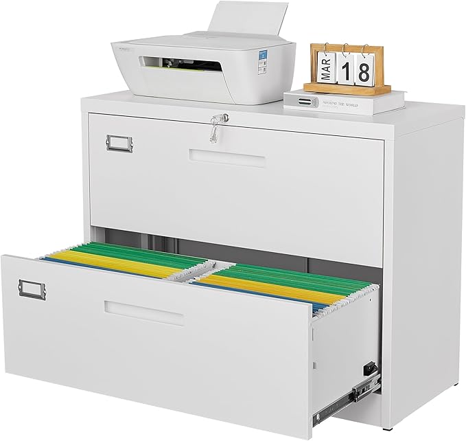 Letaya 2 Drawer Metal Filing Organization Office Cabinets
