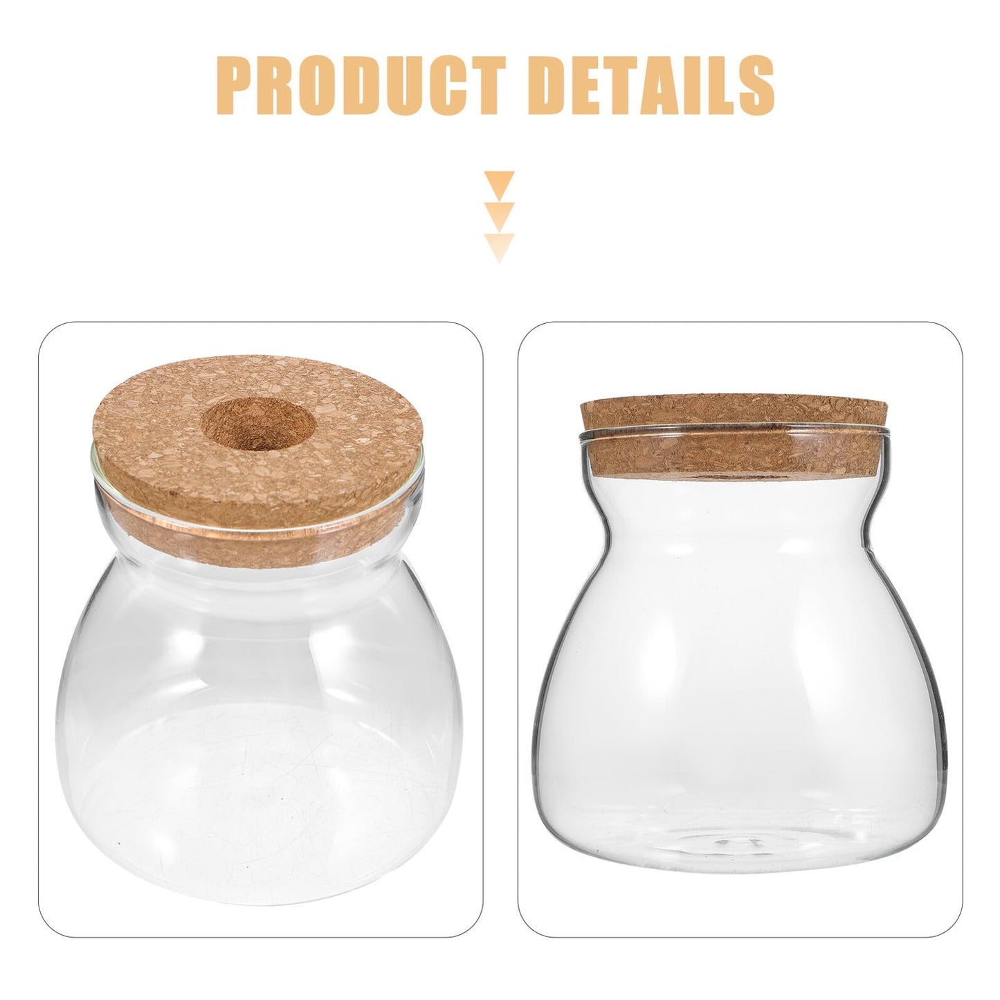 IDEANATEGRATE Glass Plant Jar Hole Lid Micro Landscape Terrarium Container Hydroponic Vases for Desktop Gardening Glass Ecosystem Container (Size)