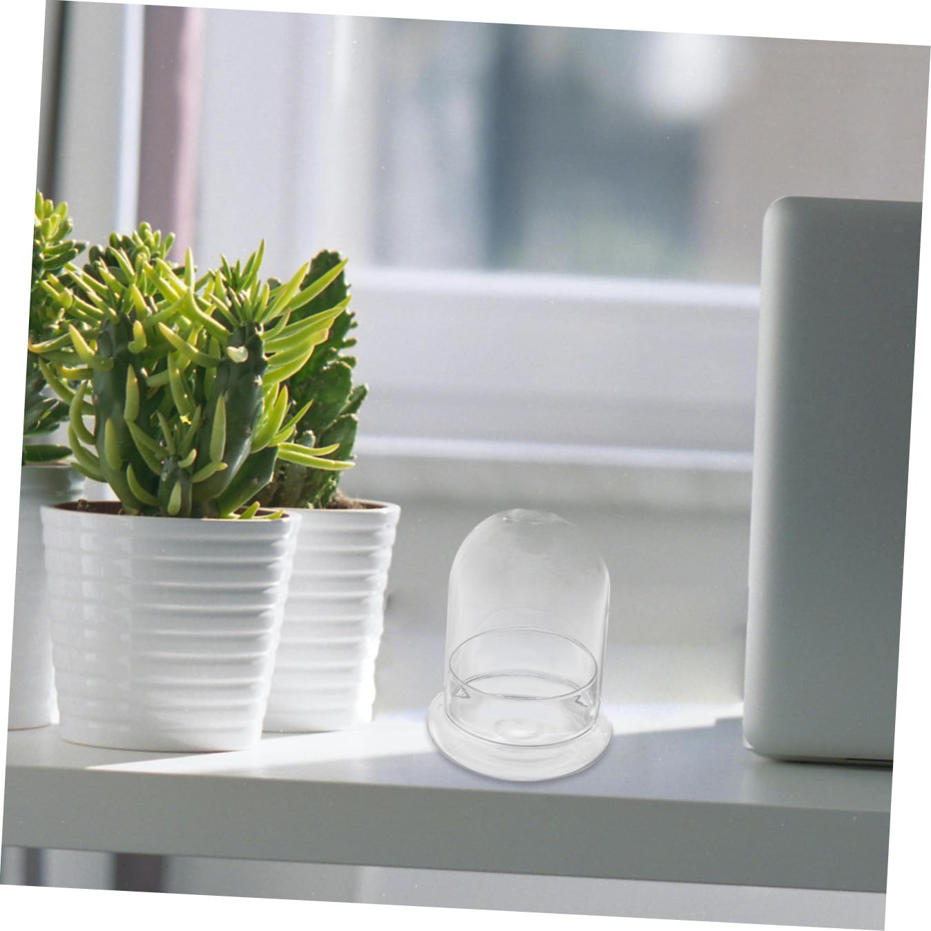 Alipis Mini Landscape Bottle Lid DIY Moss Eco Terrarium Glass Container for Home Decor Suitable for Succulent Plants and Micro Landscapes