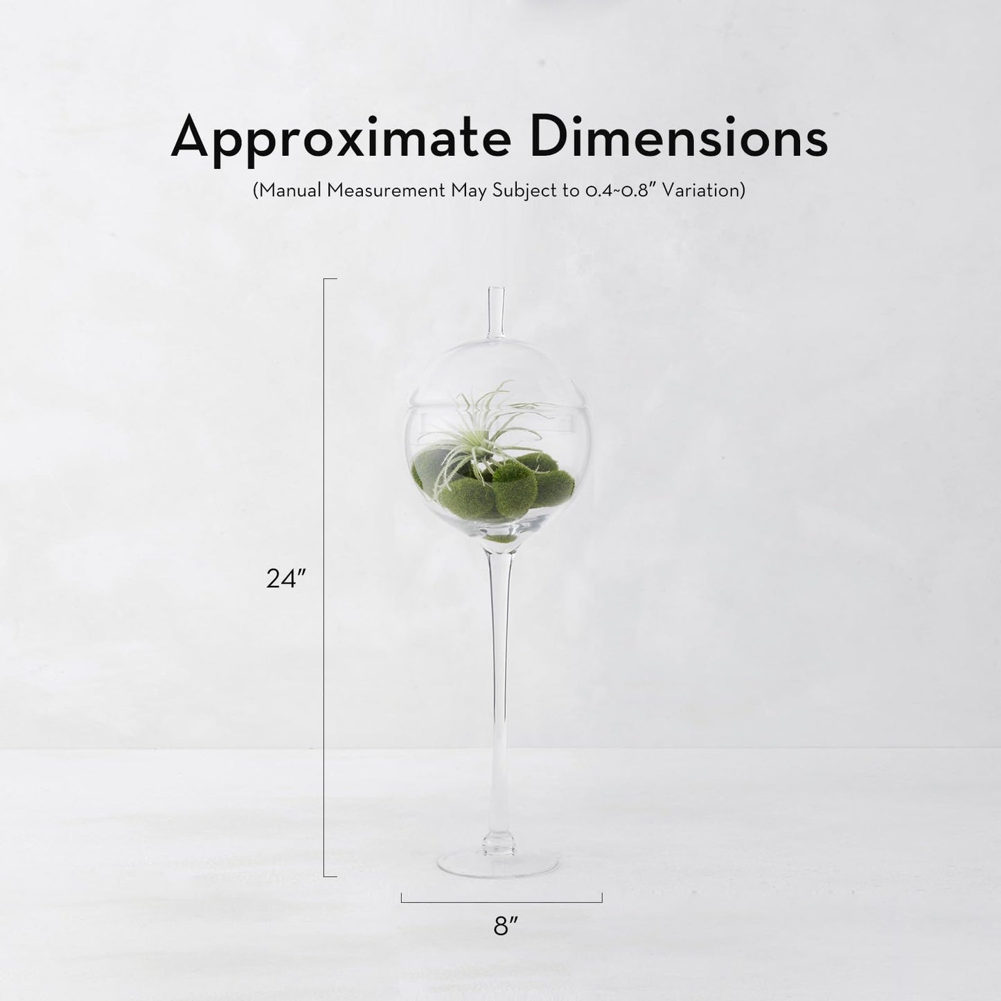 Z Gallerie Jules Glass Cloche, Hand-Blown Glasses Display Dome for Decorative Showcase Elegant Terrarium for Curated Home Decor, Artistic Canister for Sentimental Displays, Clear, 24"