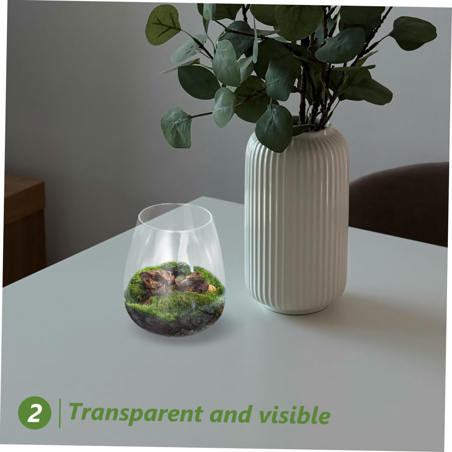 Yardenfun Hydroponic Glass Terrarium for Indoor Decor Moss Plant Container Sustainable Glass Landscape for and Centerpieces
