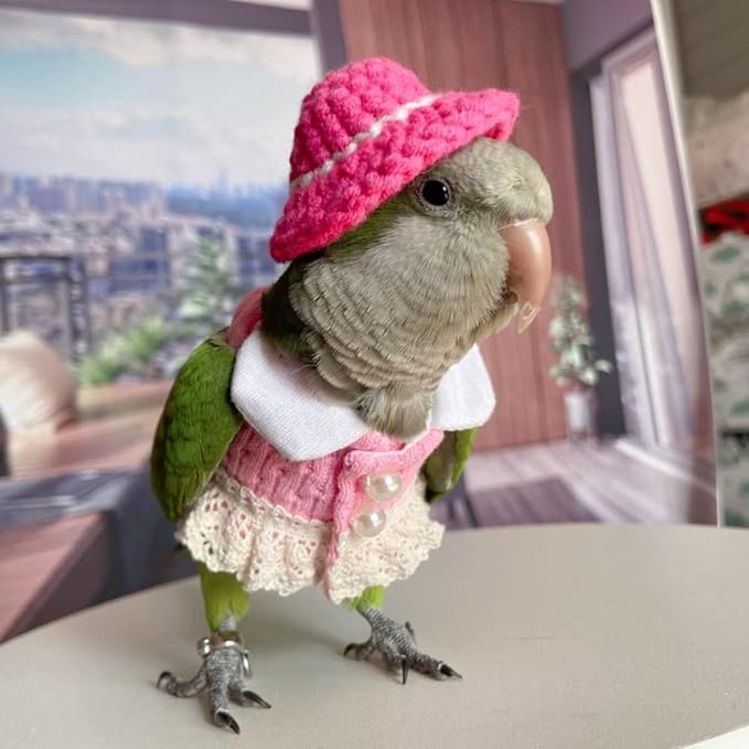 Bird Costume Bird Diaper Flight Suit Bird Pink Top Bird Clothes Cosplay Photo Prop for Parrots Lovebird Parakeet Cockatiel Small Animals Apparel (Lorikeet)