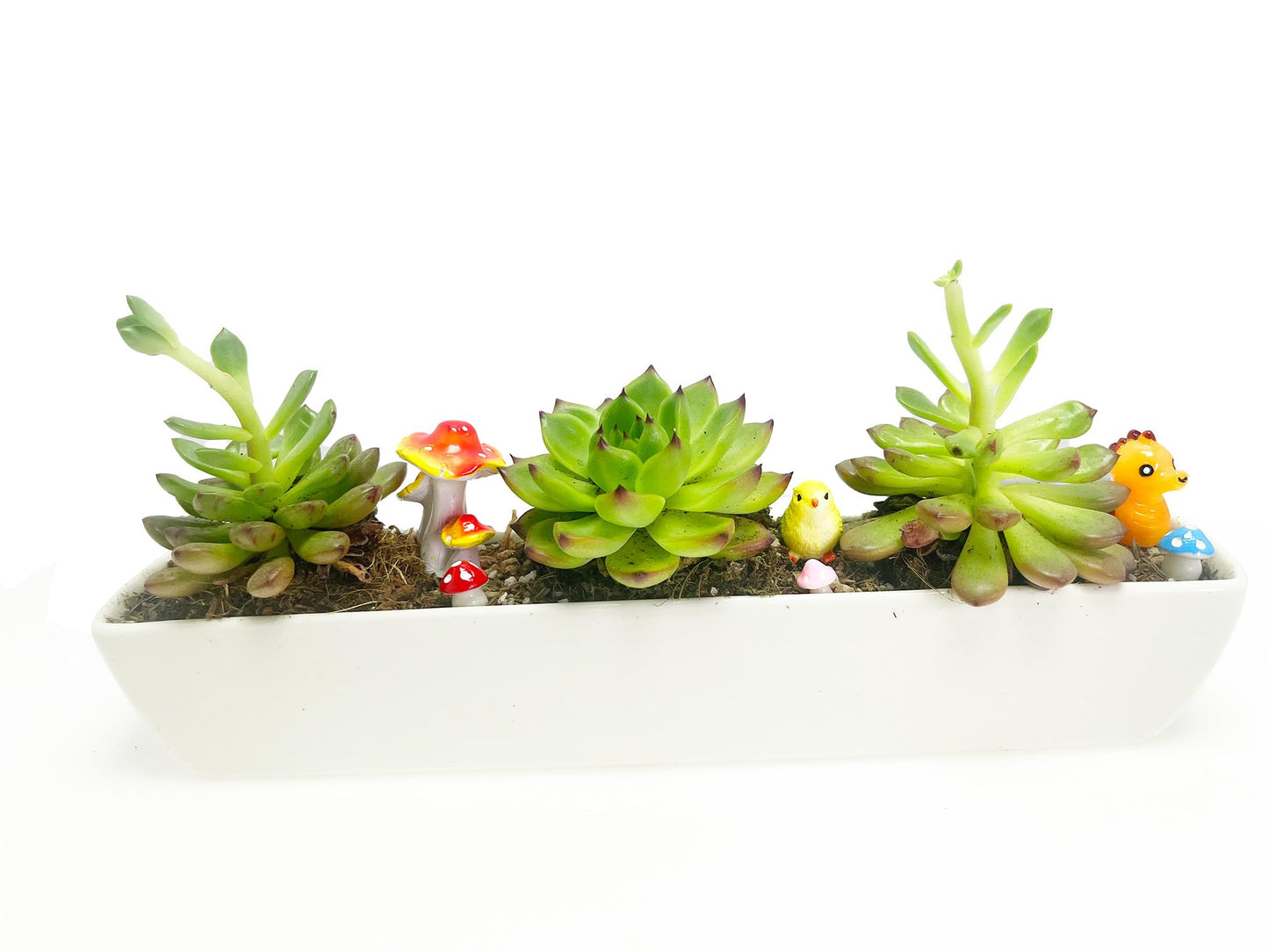 WISH HALLY WOOD White Ceramic Succulent Planter Pots,2 Set of 11inch Long Rectangle Flower Plant Containers with Bamboo Saucers.