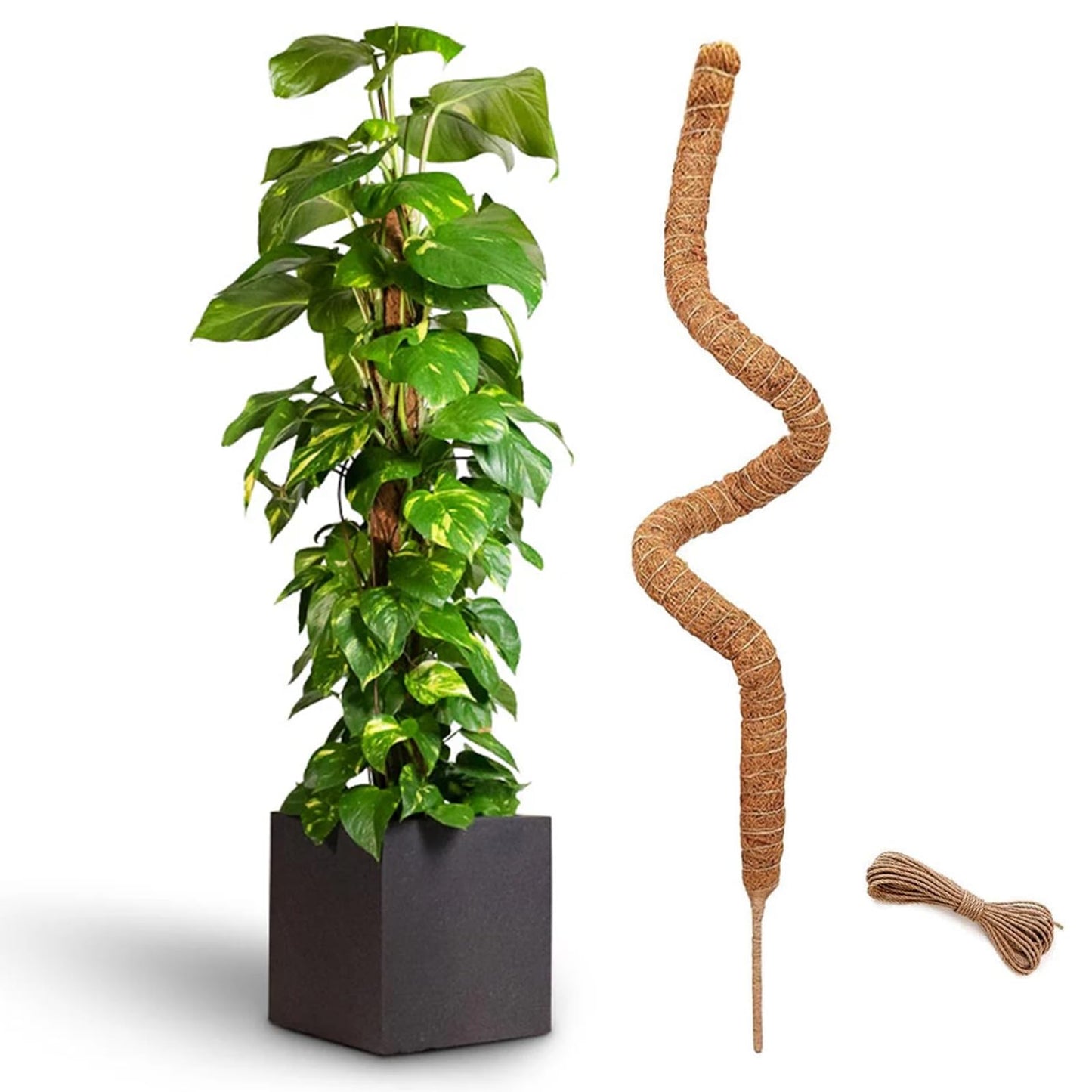 48 Inch Bendable Moss Pole for Plants Monstera, Coir Plant Pole Stick, Support Stake for Climbing Plants Indoor, Pothos, Philodendron, Moss Pole kit, Plant Support Stake for Plants Indoor