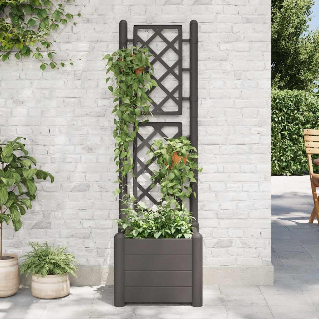 Garden Planter Anthracite, Decorative Polypropylene Pot with Trellis, Indoor Outdoor Use for Climbing Plants