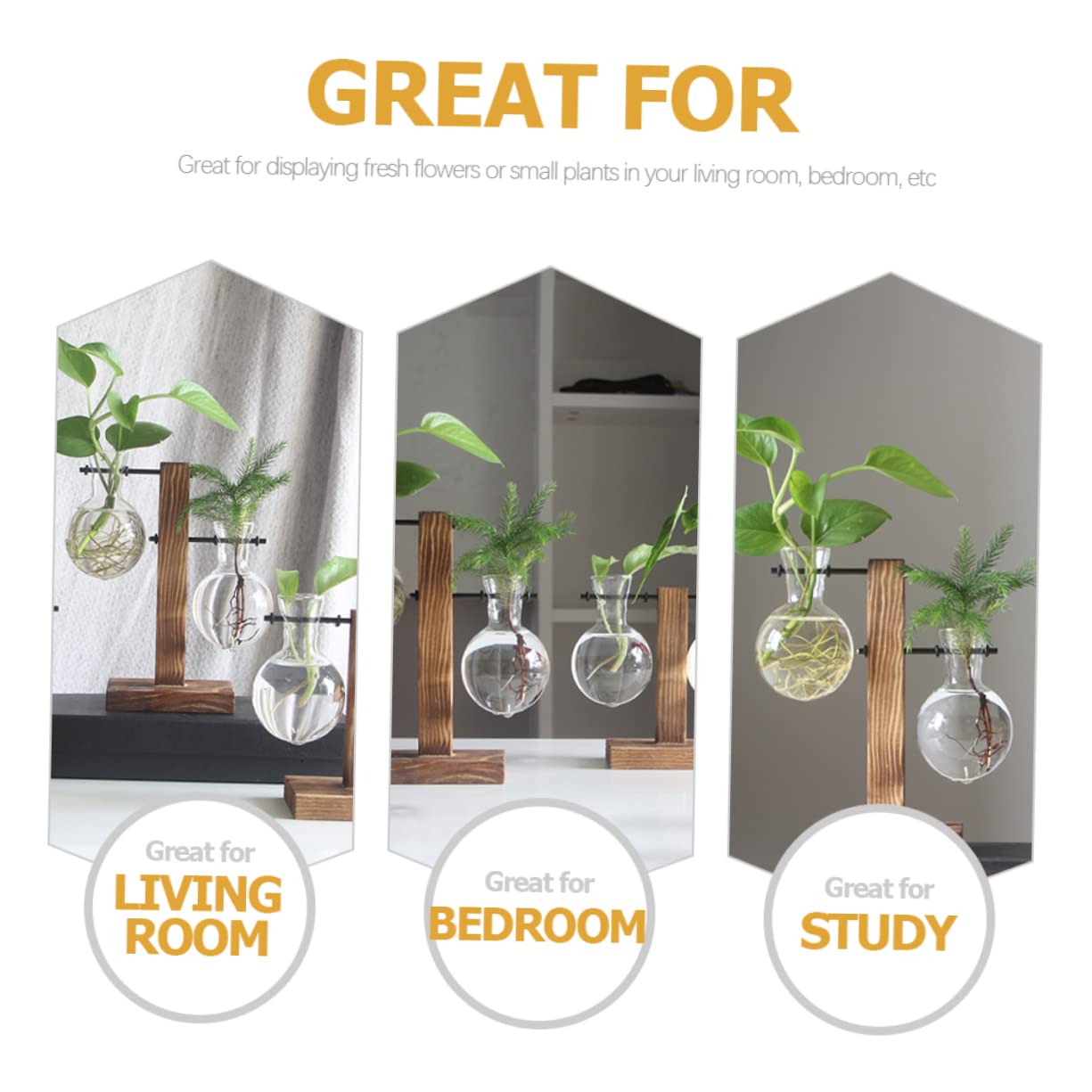 BESPORTBLE 1set Hydroponic Plant Vase Desktop Terrarium for Home Office Decoration Easy to Install Premium Glass for Floral Arrangement