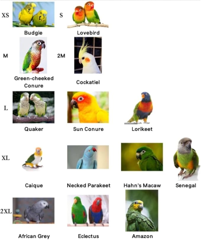 Bird Flight Suits Diapers, Parrot Flight Suits Diapers for Quaker Parakeets Cockatiels Conures Macaw African Grey, Bird Diaper, Parrot Clothes (Red B,XS)
