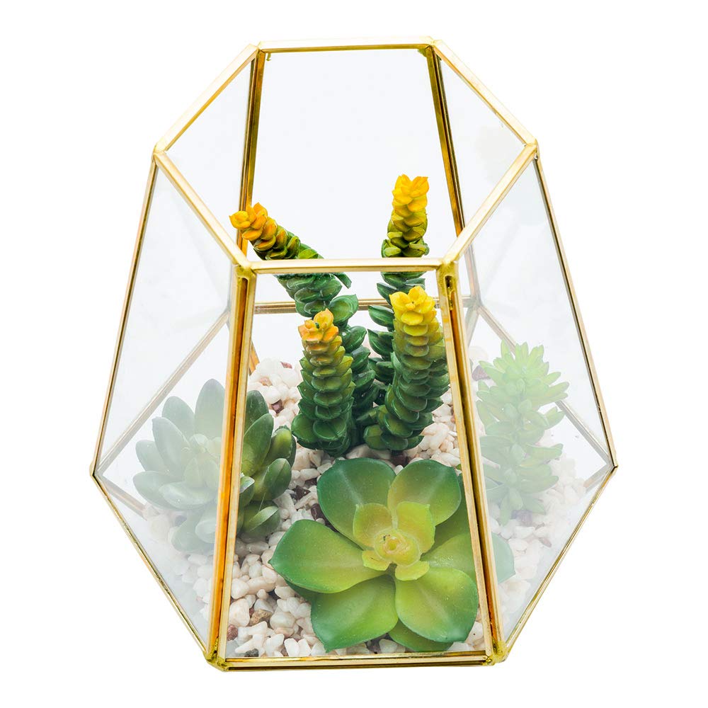 Restaurantware-7 x 6.5 x 8 Inch Faux Succulent, 1 Artificial Succulent - In Hexagonal Glass Terrarium, Use As Table Or Shelf Decor, Centerpiece, Bronze Plastic Fake Desk Plant, Geometric