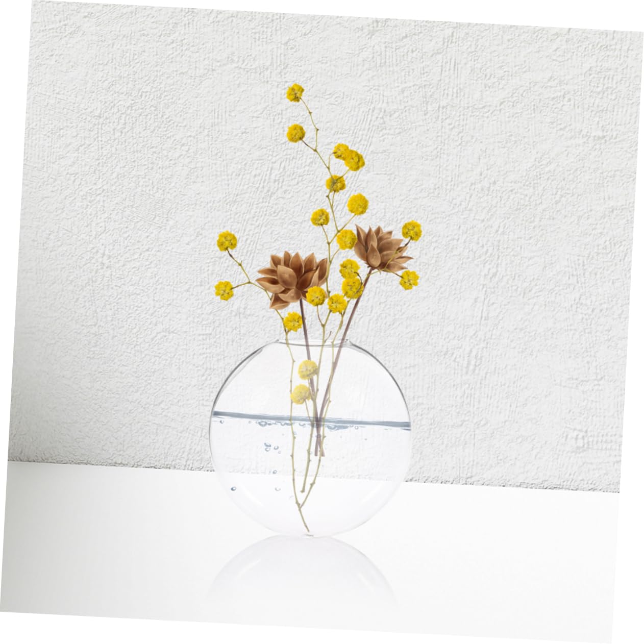 Alipis 6pcs Stylish Wall Hanging Hydroponic Vase Glass Terrarium for Indoor Plant Decor