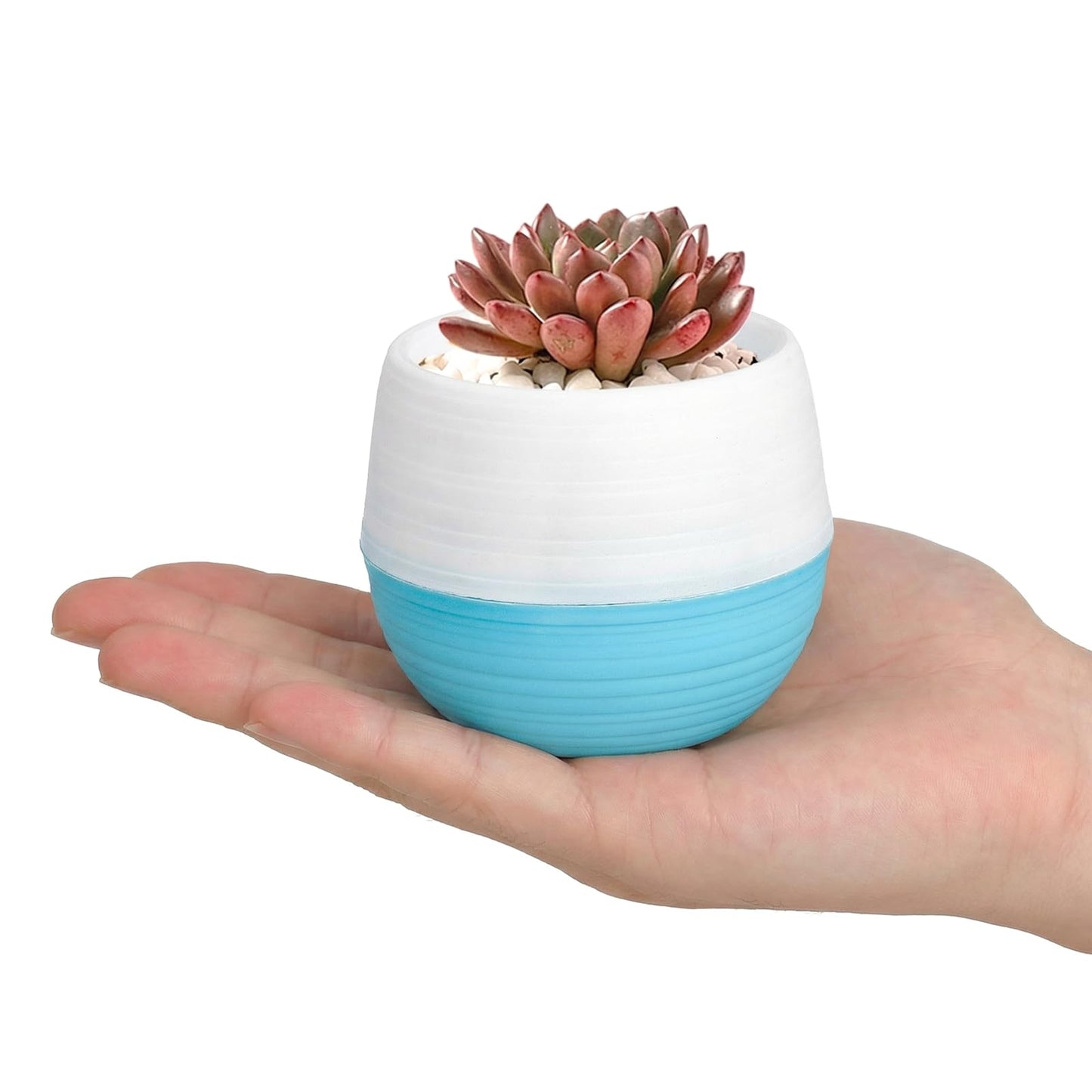 Elsjoy 30 Pack Mini Succulent Pot, 3 Inch Plastic Seed Starter Pots Small Cute Succulent Planter with Drainage for Indoor & Outdoor Plants, Home Decor, Free Assembly