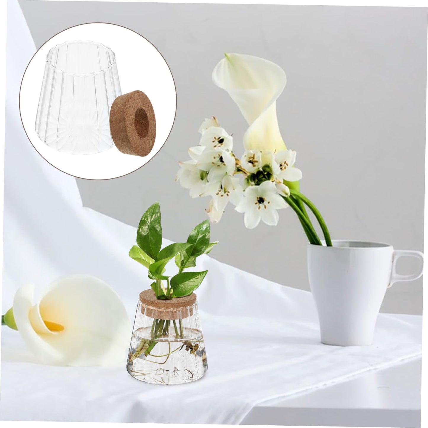 ibasenice 3Pcs Glass Hydroponic Plant Vases Compact Indoor Gardening Terrarium for Avocado Propagation Modern Desktop Decoration for Home Office Versatile Plant Propagation Jars